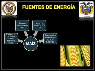 Alto en
vitaminas A
yE
Es bajo en
proteína,
calcio
fosforo y
lisina.

Nivel de
almidón 7072%

MAÍZ

Fuente alta
de energía
(3.400
Kcal/kg).

 
