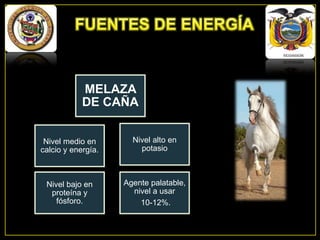 MELAZA
DE CAÑA
Nivel medio en
calcio y energía.

Nivel alto en
potasio

Nivel bajo en
proteína y
fósforo.

Agente palatable,
nivel a usar
10-12%.

 