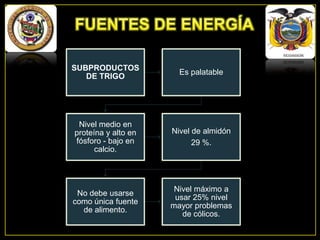 SUBPRODUCTOS
DE TRIGO

Es palatable

Nivel medio en
proteína y alto en
fósforo - bajo en
calcio.

Nivel de almidón
29 %.

No debe usarse
como única fuente
de alimento.

Nivel máximo a
usar 25% nivel
mayor problemas
de cólicos.

 