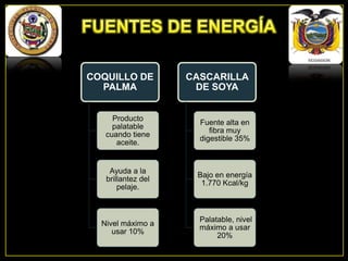 COQUILLO DE
PALMA

CASCARILLA
DE SOYA

Producto
palatable
cuando tiene
aceite.

Fuente alta en
fibra muy
digestible 35%

Ayuda a la
brillantez del
pelaje.

Bajo en energía
1.770 Kcal/kg

Nivel máximo a
usar 10%

Palatable, nivel
máximo a usar
20%

 