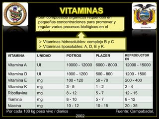 Son compuestos orgánicos requeridos en
pequeñas concentraciones para promover y
regular varios procesos biológicos en el
animal.

 Vitaminas hidrosolubles: complejo B y C
 Vitaminas liposolubles: A, D, E y K.
REPRODUCTOR
ES

VITAMINA

UNIDAD

POTROS

Vitamina A

UI

10000 - 12000 6000 - 8000

12000 - 15000

Vitamina D

UI

1000 - 1200

600 - 800

1200 - 1500

Vitamina E

mg

100 - 120

50 - 70

200 - 400

Vitamina K

mg

3-5

1-2

2-4

Riboflavina

mg

8 - 12

5-7

12 - 15

Tiamina

mg

8 - 10

5-7

8 - 12

Niacina
mg
10 - 12
Por cada 100 kg peso vivo / diarios
2002

PLACER

10 - 15

20 - 35
Fuente: Campabadal,

 