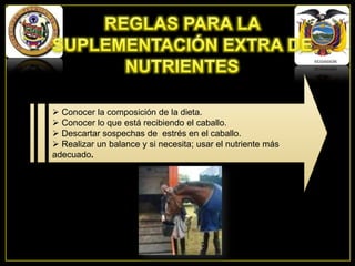  Conocer la composición de la dieta.
 Conocer lo que está recibiendo el caballo.
 Descartar sospechas de estrés en el caballo.
 Realizar un balance y si necesita; usar el nutriente más
adecuado.

 