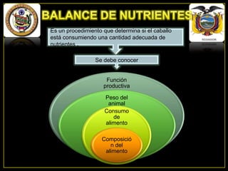 Es un procedimiento que determina si el caballo
está consumiendo una cantidad adecuada de
nutrientes .
Se debe conocer

Función
productiva
Peso del
animal
Consumo
de
alimento

Composició
n del
alimento

 