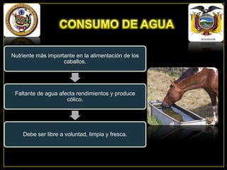 Nutriente más importante en la alimentación de los
caballos.

Faltante de agua afecta rendimientos y produce
cólico.

Debe ser libre a voluntad, limpia y fresca.

 