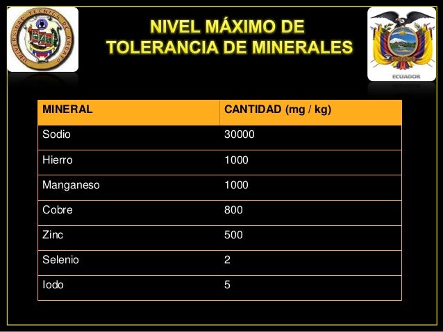 El dolor en la espalda en el campo de las espátulas que esto