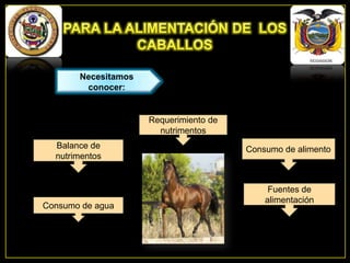 Necesitamos
conocer:

Requerimiento de
nutrimentos
Balance de
nutrimentos

Consumo de agua

Consumo de alimento

Fuentes de
alimentación

 
