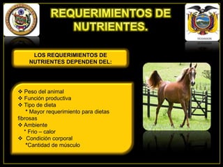 LOS REQUERIMIENTOS DE
NUTRIENTES DEPENDEN DEL:

 Peso del animal
 Función productiva
 Tipo de dieta
* Mayor requerimiento para dietas
fibrosas
 Ambiente
* Frio – calor
 Condición corporal
*Cantidad de músculo

 