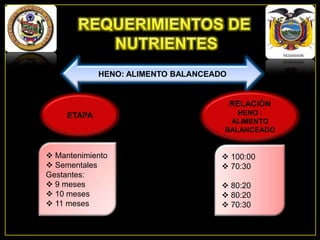 HENO: ALIMENTO BALANCEADO

RELACIÓN
ETAPA

 Mantenimiento
 Sementales
Gestantes:
 9 meses
 10 meses
 11 meses

HENO :
ALIMENTO
BALANCEADO

 100:00
 70:30
 80:20
 80:20
 70:30

 