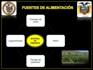 Forrajes de
corte

Leguminosas

MATERIAL
ES
FIBROSOS

Forraje de
pastoreo

Heno

 