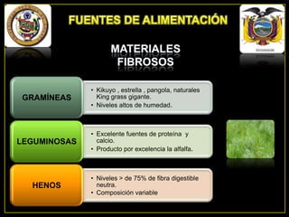 GRAMÍNEAS

LEGUMINOSAS

HENOS

• Kikuyo , estrella , pangola, naturales
King grass gigante.
• Niveles altos de humedad.

• Excelente fuentes de proteína y
calcio.
• Producto por excelencia la alfalfa.

• Niveles > de 75% de fibra digestible
neutra.
• Composición variable

 