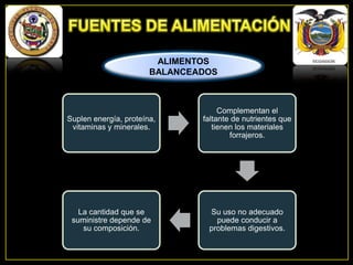 ALIMENTOS
BALANCEADOS

Suplen energía, proteína,
vitaminas y minerales.

Complementan el
faltante de nutrientes que
tienen los materiales
forrajeros.

La cantidad que se
suministre depende de
su composición.

Su uso no adecuado
puede conducir a
problemas digestivos.

 