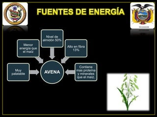 Nivel de
almidón 50%
Menor
energía que
el maíz

Muy
palatable

Alto en fibra
13%

AVENA

Contiene
mas proteína
y minerales
que el maíz.

 
