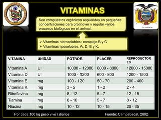 Son compuestos orgánicos requeridos en pequeñas
concentraciones para promover y regular varios
procesos biológicos en el animal.

 Vitaminas hidrosolubles: complejo B y C
 Vitaminas liposolubles: A, D, E y K.

UNIDAD

POTROS

Vitamina A

UI

10000 - 12000 6000 - 8000

12000 - 15000

Vitamina D

UI

1000 - 1200

600 - 800

1200 - 1500

Vitamina E

mg

100 - 120

50 - 70

200 - 400

Vitamina K

mg

3-5

1-2

2-4

Riboflavina

mg

8 - 12

5-7

12 - 15

Tiamina

mg

8 - 10

5-7

8 - 12

Niacina

mg

10 - 12

10 - 15

20 - 35

Por cada 100 kg peso vivo / diarios

PLACER

REPRODUCTOR
ES

VITAMINA

Fuente: Campabadal, 2002

 