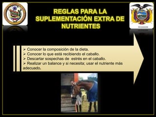  Conocer la composición de la dieta.
 Conocer lo que está recibiendo el caballo.
 Descartar sospechas de estrés en el caballo.
 Realizar un balance y si necesita; usar el nutriente más
adecuado.

 