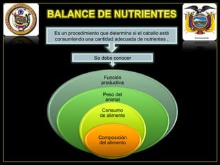 Es un procedimiento que determina si el caballo está
consumiendo una cantidad adecuada de nutrientes .

Se debe conocer

Función
productiva
Peso del
animal
Consumo
de alimento

Composición
del alimento

 