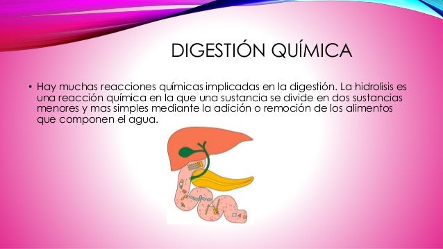 Digestión, Absorción, Metabolismo, y Excreción