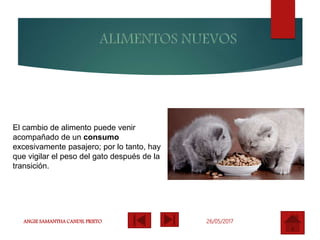 26/05/2017ANGIE SAMANTHA CANDIL PRIETO
El cambio de alimento puede venir
acompañado de un consumo
excesivamente pasajero; por lo tanto, hay
que vigilar el peso del gato después de la
transición.
 