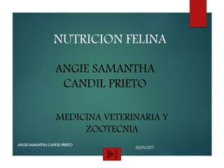 NUTRICION FELINA
26/05/2017
ANGIE SAMANTHA CANDIL PRIETO
ANGIE SAMANTHA
CANDIL PRIETO
MEDICINA VETERINARIA Y
ZOOTECNIA
 