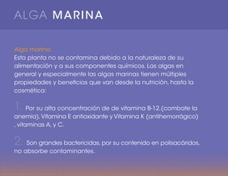 ALGA MARINA
