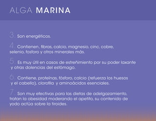 ALGA MARINA
