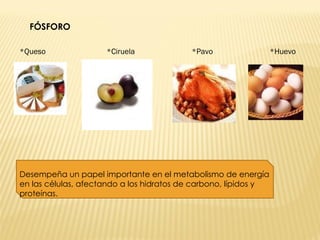 FÓSFORO *Queso  *Ciruela  *Pavo  *Huevo Desempeña un papel importante en el metabolismo de energía en las células, afectando a los hidratos de carbono, lípidos y proteínas.  