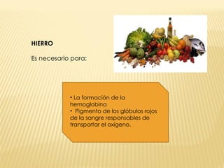 HIERRO Es necesario para: La formación de la hemoglobina Pigmento de los glóbulos rojos de la sangre responsables de transportar el oxígeno. 