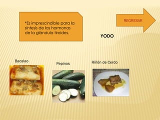   YODO   Bacalao Riñón de Cerdo Pepinos *Es imprescindible para la síntesis de las hormonas de la glándula tiroides.  REGRESAR 