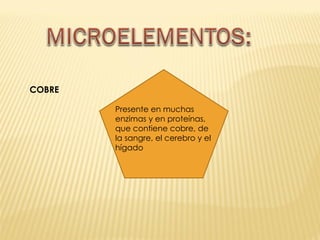 COBRE Presente en muchas enzimas y en proteínas, que contiene cobre, de la sangre, el cerebro y el hígado 