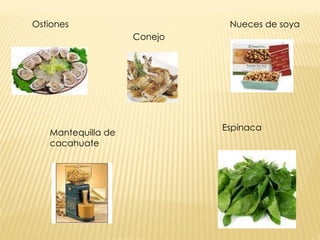 Ostiones Conejo Mantequilla de cacahuate Espinaca Nueces de soya 
