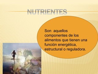 Son  aquellos componentes de los alimentos que tienen una función energética, estructural o reguladora.  