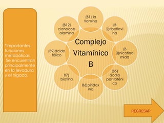 REGRESAR *importantes funciones metabólicas  Se encuentran principalmente en la levadura y el hígado. 