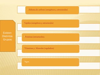 Existen  Distintos  Grupos: 