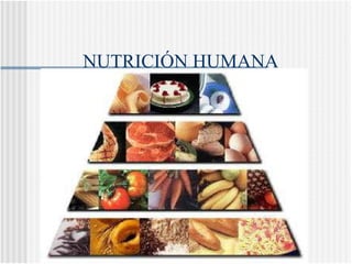 NUTRICIÓN HUMANA 