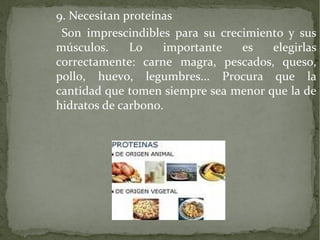 9. Necesitan proteínas
Son imprescindibles para su crecimiento y sus
músculos.
Lo
importante
es
elegirlas
correctamente: carne magra, pescados, queso,
pollo, huevo, legumbres... Procura que la
cantidad que tomen siempre sea menor que la de
hidratos de carbono.

 