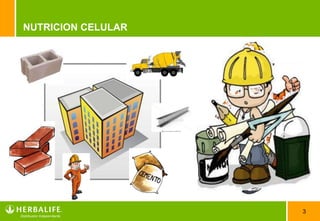 3
NUTRICION CELULAR
 