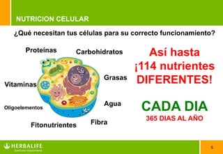 5
NUTRICION CELULAR
¿Qué necesitan tus células para su correcto funcionamiento?
Proteínas Carbohidratos
Grasas
Agua
FibraFitonutrientes
Oligoelementos
Así hasta
¡114 nutrientes
DIFERENTES!Vitaminas
CADA DIA
365 DIAS AL AÑO
 