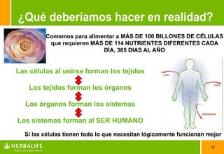 Comemos para alimentar a MÁS DE 100 BILLONES DE CÉLULAS
          que requieren MÁS DE 114 NUTRIENTES DIFERENTES CADA
                           DÍA, 365 DIAS AL AÑO


Las células al unirse forman los tejidos

    Los tejidos forman los órganos

  Los órganos forman los sistemas

Los sistemas forman al SER HUMANO
  Si las células tienen todo lo que necesitan lógicamente funcionan mejor

                                                                     11
 