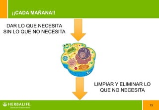 ¡¡CADA MAÑANA!!

 DAR LO QUE NECESITA
SIN LO QUE NO NECESITA




                         LIMPIAR Y ELIMINAR LO
                           QUE NO NECESITA

                                             13
 