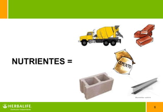 NUTRIENTES =




               6
 
