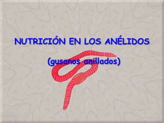 NUTRICIÓN EN LOS ANÉLIDOS
(gusanos anillados)
 