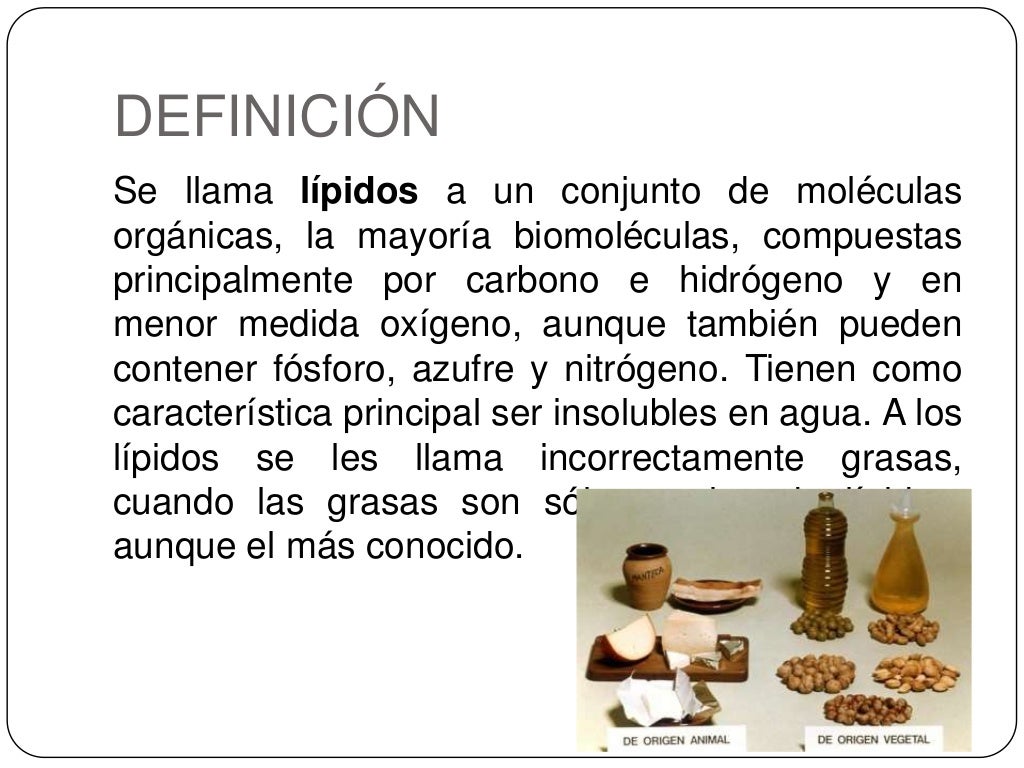 Nutricion lipidos