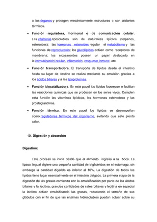 a los órganos y protegen mecánicamente estructuras o son aislantes 
térmicos. 
· Función reguladora, hormonal o de comunicación celular. 
Las vitaminas liposolubles son de naturaleza lipídica (terpenos, 
esteroides); las hormonas esteroides regulan el metabolismo y las 
funciones de reproducción; los glucolípidos actúan como receptores de 
membrana; los eicosanoides poseen un papel destacado en 
la comunicación celular, inflamación, respuesta inmune, etc. 
· Función transportadora. El transporte de lípidos desde el intestino 
hasta su lugar de destino se realiza mediante su emulsión gracias a 
los ácidos biliares y a las lipoproteínas. 
· Función biocatalizadora. En este papel los lípidos favorecen o facilitan 
las reacciones químicas que se producen en los seres vivos. Cumplen 
esta función las vitaminas lipídicas, las hormonas esteroideas y las 
prostaglandinas. 
· Función térmica. En este papel los lípidos se desempeñan 
como reguladores térmicos del organismo, evitando que este pierda 
calor. 
10. Digestión y absorción 
Digestión: 
Este proceso se inicia desde que el alimento ingresa a la boca. La 
lipasa lingual digiere una pequeña cantidad de triglicéridos en el estomago, sin 
embargo la cantidad digerida es inferior al 10%. La digestión de todos los 
lípidos tiene lugar esencialmente en el intestino delgado. La primera etapa de la 
digestión de las grasas comienza con la emulsificación por parte de los ácidos 
biliares y la lecitina, grandes cantidades de sales biliares y lecitina en especial 
la lecitina actúan emulsificando las grasas, reduciendo el tamaño de sus 
glóbulos con el fin de que las enzimas hidrosolubles puedan actuar sobre su 
 