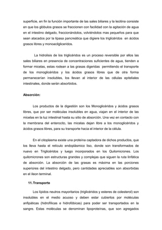 superficie, en fin la función importante de las sales biliares y la lecitina consiste 
en que los glóbulos grasos se fraccionen con facilidad con la agitación de agua 
en el intestino delgado, fraccionándolos, volviéndolos mas pequeños para que 
sean atacados por la lipasa pancreática que digiere los triglicéridos en ácidos 
grasos libres y monoacilgliceridos. 
La hidrolisis de los triglicéridos es un proceso reversible por ellos las 
sales biliares en presencia de concentraciones suficientes de agua, tienden a 
formar micelas, estas rodean a las grasas digeridas permitiendo el transporte 
de los monoglicéridos y los ácidos grasos libres que de otra forma 
permanecerían insolubles, los llevan al interior de las células epiteliales 
intestinales, donde serán absorbidos. 
Absorción: 
Los productos de la digestión son los Monoglicéridos y ácidos grasos 
libres, que por ser moléculas insolubles en agua, viajan en el interior de las 
micelas en la luz intestinal hasta su sitio de absorción. Una vez en contacto con 
la membrana del enterocito, las micelas dejan libre a los monoglicéridos y 
ácidos grasos libres, para su transporte hacia el interior de la célula. 
En el citoplasma existe una proteína captadora de dichos productos, que 
los lleva hasta el retículo endoplásmico liso, donde son transformados de 
nuevo en Triglicéridos y luego incorporados en los Quilomicrones. Los 
quilomicrones son estructuras grandes y complejas que siguen la ruta linfática 
de absorción. La absorción de las grasas es máxima en las porciones 
superiores del intestino delgado, pero cantidades apreciables son absorbidas 
en el íleon terminal. 
11.Transporte 
Los lípidos neutros mayoritarios (triglicéridos y esteres de colesterol) son 
insolubles en el medio acuoso y deben estar cubiertos por moléculas 
anfipáticas (hidrofílicas e hidrofóbicas) para poder ser transportados en la 
sangre. Estas moléculas se denominan lipoproteínas, que son agregados 
 