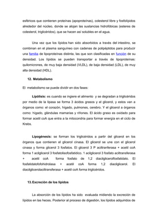 esféricos que contienen proteínas (apoproteínas), colesterol libre y fosfolípidos 
alrededor del núcleo, donde se alojan las sustancias hidrofóbicas (esteres de 
colesterol, triglicéridos), que se hacen así solubles en el agua. 
Una vez que los lípidos han sido absorbidos a través del intestino, se 
combinan en el plasma sanguíneo con cadenas de polipéptidos para producir 
una familia de lipoproteínas distinta, las que son clasificadas en función de su 
densidad. Los lípidos se pueden transportar a través de lipoproteínas: 
quilomicrones, de muy baja densidad (VLDL), de baja densidad (LDL), de muy 
alta densidad (HDL). 
12. Metabolismo 
El metabolismo se puede dividir en dos fases: 
Lipólisis: es cuando se ingiere el alimento y se degradan a triglicéridos 
por medio de la lipasa se forma 3 ácidos grasos y el glicerol, y estos van a 
órganos como: el corazón, hígado, pulmones, cerebro. Y el glicerol a órganos 
como: hígado, glándulas mamarias y riñones. El ácido graso es oxidado para 
formar acetil coA que entra a la mitocondria para formar energía en el ciclo de 
Krebs. 
Lipogénesis: se forman los triglicéridos a partir del glicerol en los 
órganos que contienen el glicerol cinasa. El glicerol se une con el glicerol 
cinasa y forma glicerol 3 fosfatos. El glicerol 3 P aciltranferasa + acetil coA 
forma 1 acilglicerol 3 fosfatolisofosfatidico. 1 acilglicerol 3 fosfato aciltransferasa 
+ acetil coA forma fosfato de 1,2 diacilglicerolfosfatidato. El 
fosfatidatofofohidrolasa + acetil coA forma 1,2 diacilglicerol. El 
diacilglicerolaciltransferasa + acetil coA forma triglicéridos. 
13.Excreción de los lípidos 
La absorción de los lípidos ha sido evaluada midiendo la excreción de 
lípidos en las heces. Posterior al proceso de digestión, los lípidos adquiridos de 
 