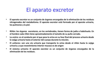 El aparato excretor
•   El aparato excretor es un conjunto de órganos encargados de la eliminación de los residuos
    nitrogenados del metabolismo. El aparato excretor está formado por el aparato urinario,
    los pulmones y la piel.

•   Riñón: los órganos excretores, en los vertebrados, tienen forma de judía o habichuela. En
    el hombre cada riñón tiene aproximadamente el tamaño de su puño cerrado.
•   La uretra: es el conducto por el que pasa la orina en su fase final del proceso urinario desde
    la vejiga urinaria hasta el exterior del cuerpo durante la micción.
•   El uréteres: son una vía urinaria que transporta la orina desde el riñón hasta la vejiga
    urinaria y cuyo revestimiento interior mucoso es de origen
•   El sistema urinario: El aparato excretor es un conjunto de órganos encargados de la
    eliminación de los residuos.
 