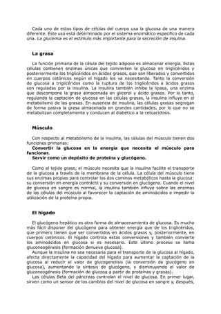 Cada uno de estos tipos de células del cuerpo usa la glucosa de una manera
diferente. Este uso está determinado por el sistema enzimático específico de cada
una. La glucemia es el estímulo más importante para la secreción de insulina.


  La grasa

   La función primaria de la célula del tejido adiposo es almacenar energía. Estas
células contienen enzimas únicas que convierten la glucosa en triglicéridos y
posteriormente los triglicéridos en ácidos grasos, que son liberados y convertidos
en cuerpos cetónicos según el hígado los va necesitando. Tanto la conversión
de glucosa a triglicéridos como la ruptura de los triglicéridos a ácidos grasos
son reguladas por la insulina. La insulina también inhibe la lipasa, una enzima
que descompone la grasa almacenada en glicerol y ácido grasos. Por lo tanto,
regulando la captación de glucosa en las células grasas, la insulina influye en el
metabolismo de las grasas. En ausencia de insulina, las células grasas segregan
de forma pasiva la grasa almacenada en grandes cantidades, por lo que no se
metabolizan completamente y conducen al diabético a la cetoacidosis.


  Músculo

   Con respecto al metabolismo de la insulina, las células del músculo tienen dos
funciones primarias:
   Convertir la glucosa en la energía que necesita el músculo para
funcionar.
   Servir como un depósito de proteína y glucógeno.

   Como el tejido graso, el músculo necesita que la insulina facilite el transporte
de la glucosa a través de la membrana de la célula. La célula del músculo tiene
sus enzimas propias para controlar los dos caminos metabólicos hasta la glucosa:
su conversión en energía contráctil y su conversión en glucógeno. Cuando el nivel
de glucosa en sangre es normal, la insulina también influye sobre las enzimas
de las células del músculo al favorecer la captación de aminoácidos e impedir la
utilización de la proteína propia.


  El hígado

   El glucógeno hepático es otra forma de almacenamiento de glucosa. Es mucho
más fácil disponer del glucógeno para obtener energía que de los triglicéridos,
que primero tienen que ser convertidos en ácidos grasos y, posteriormente, en
cuerpos cetónicos. El hígado controla estas conversiones y también convierte
los aminoácidos en glucosa si es necesario. Este último proceso se llama
gluconeogénesis (formación denueva glucosa).
   Aunque la insulina no sea necesaria para el transporte de la glucosa al hígado,
afecta directamente la capacidad del hígado para aumentar la captación de la
glucosa al reducir el valor de glucogenolisis (la conversión de glucógeno en
glucosa), aumentando la síntesis de glucógeno, y disminuyendo el valor de
gluconeogénesis (formación de glucosa a partir de proteínas y grasas).
   Las células Beta del páncreas controlan el nivel de glucosa. En primer lugar,
sirven como un sensor de los cambios del nivel de glucosa en sangre y, después,
 