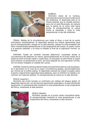 MUÑECA:
                                              Perímetro distal de la muñeca,
                                           coincidiendo con la mínima circunferencia
                                           del antebrazo. El deportista está en la
                                           misma posición que la medida anterior,
                                           pero con el codo flexionado, de manera
                                           que la palma de la mano esté hacia
                                           arriba. El antropometrista se coloca
                                           frente al estudiado y sitúa la cinta
                                           perpendicular al eje del antebrazo.



   TÓRAX: Medida de la circunferencia que rodea al tórax a nivel de la cuarta
articulación condroesternal. El deportista elevará sus brazos ligeramente para
que el antropometrista, situado en su lado derecho, coloque la cinta alrededor del
tórax manteniéndola perpendicular al eje longitudinal del cuerpo. El sujeto vuelve
a la posición estándar y se toma la medida al final de la espiración normal, no
forzada.

   CINTURA: Puede ser también llamada abdominal. Localizada donde la
circunferencia del abdomen es menor, aproximadamente en el punto medio de la
distancia entre el borde costal y cresta ilíaca. El evaluador se para frente al sujeto
para localizar correctamente la zona. Se toma después de una espiración normal,
con los brazos relajados al costado del cuerpo.

   CADERA: Puede encontrarse denominado como perímetro pélvico o de los glúteos.
Es el perímetro en el nivel de la mayor circunferencia glútea, aproximadamente
por encima de la sínfisis púbica. El deportista colocará los brazos cruzados sobre
el pecho o ligeramente separados hacia adelante, para no interferir la medida y sin
contraer los músculos glúteos. El antropometrista se coloca en el lado derecho.

   MUSLO (superior):
   Perímetro del muslo tomado un centímetro por debajo del pliegue glúteo. El
deportista está de pie, con las piernas ligeramente separadas y el peso distribuido
igualmente. El antropometrista mantiene la cinta perpendicular al eje longitudinal
del fémur, situándose al lado derecho.


                          MUSLO (Medial):
                          Perímetro situado en el punto medio trocantéreo-tibial.
                       El antropometrista mantiene la cinta perpendicular al eje
                       longitudinal del fémur, situándose al lado derecho.
 
