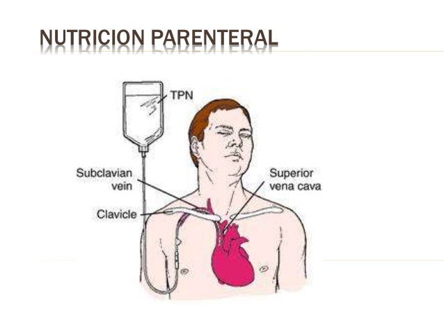 read nutrition and feeding of organic