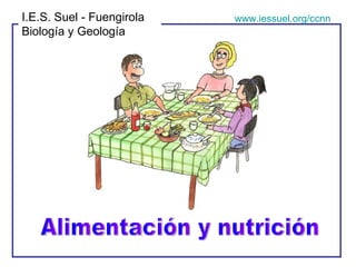 Alimentación y nutrición I.E.S. Suel - Fuengirola Biología y Geología www.iessuel.org/ccnn 