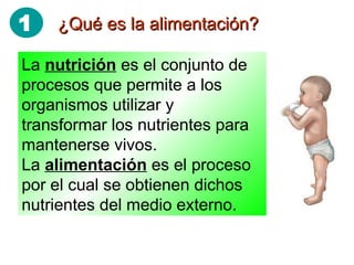 ¿Qué es la alimentación? La  nutrición  es el conjunto de procesos que permite a los organismos utilizar y transformar los nutrientes para mantenerse vivos. La  alimentación  es el proceso por el cual se obtienen dichos nutrientes del medio externo. 1 
